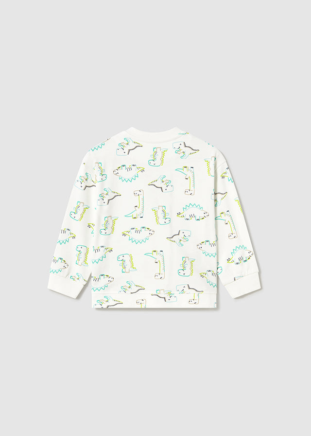 Dinosaur Pullover