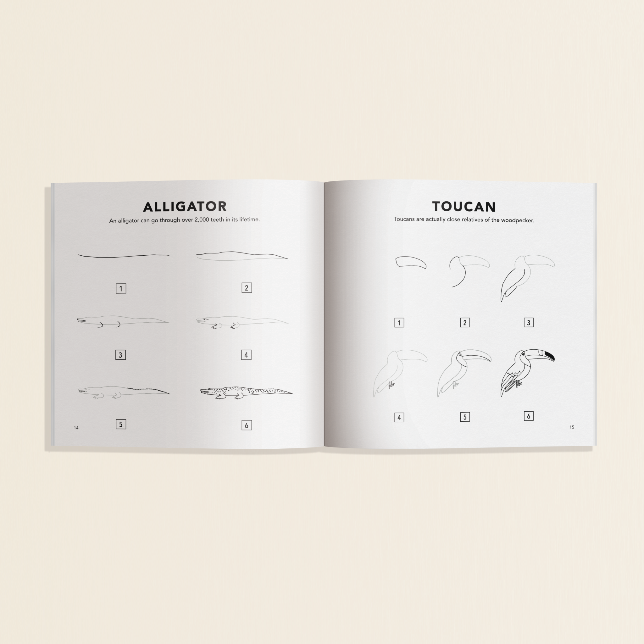 Travel Size How to Draw for Kids: All the Animals