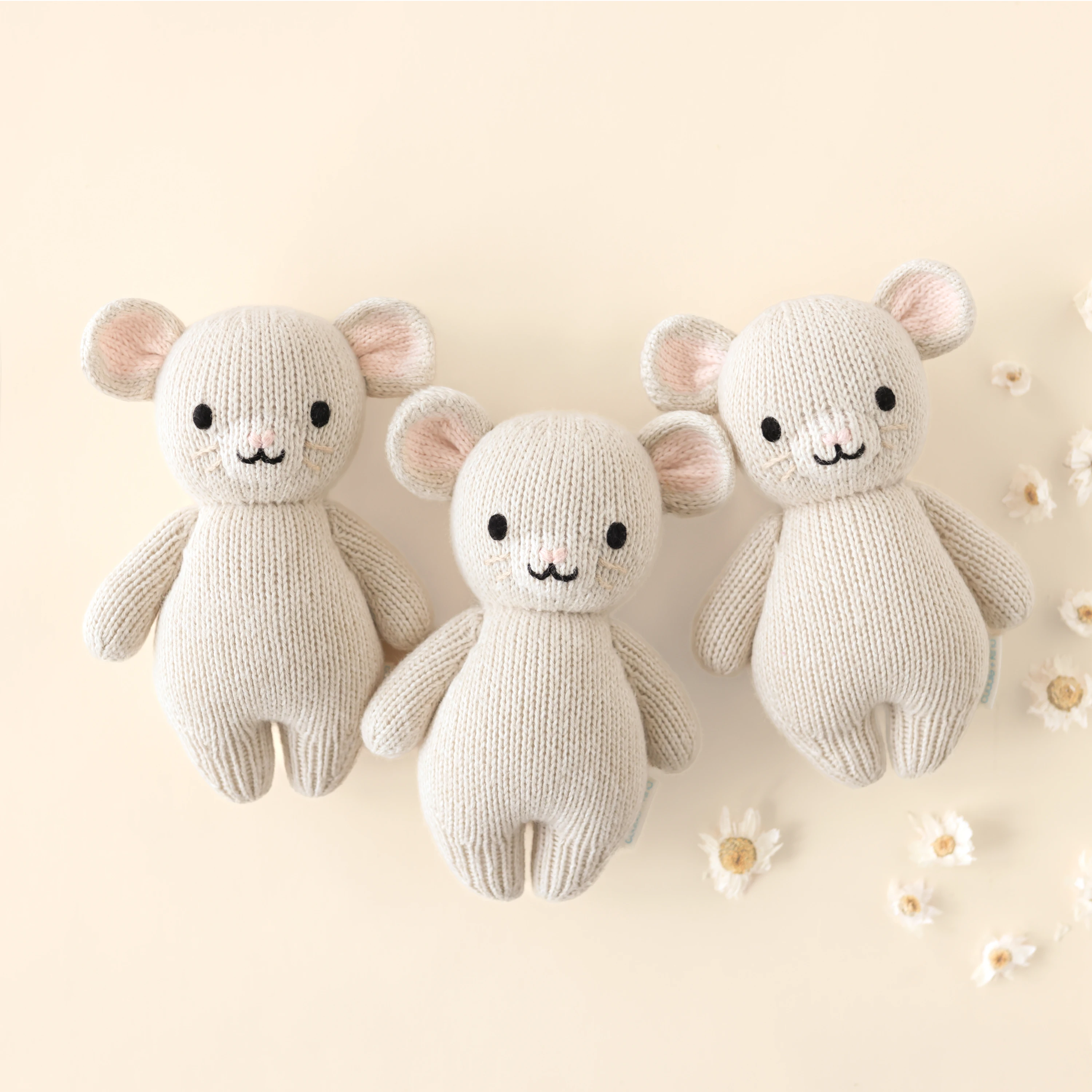 Baby Mouse