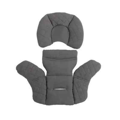 PIPA Series Insert