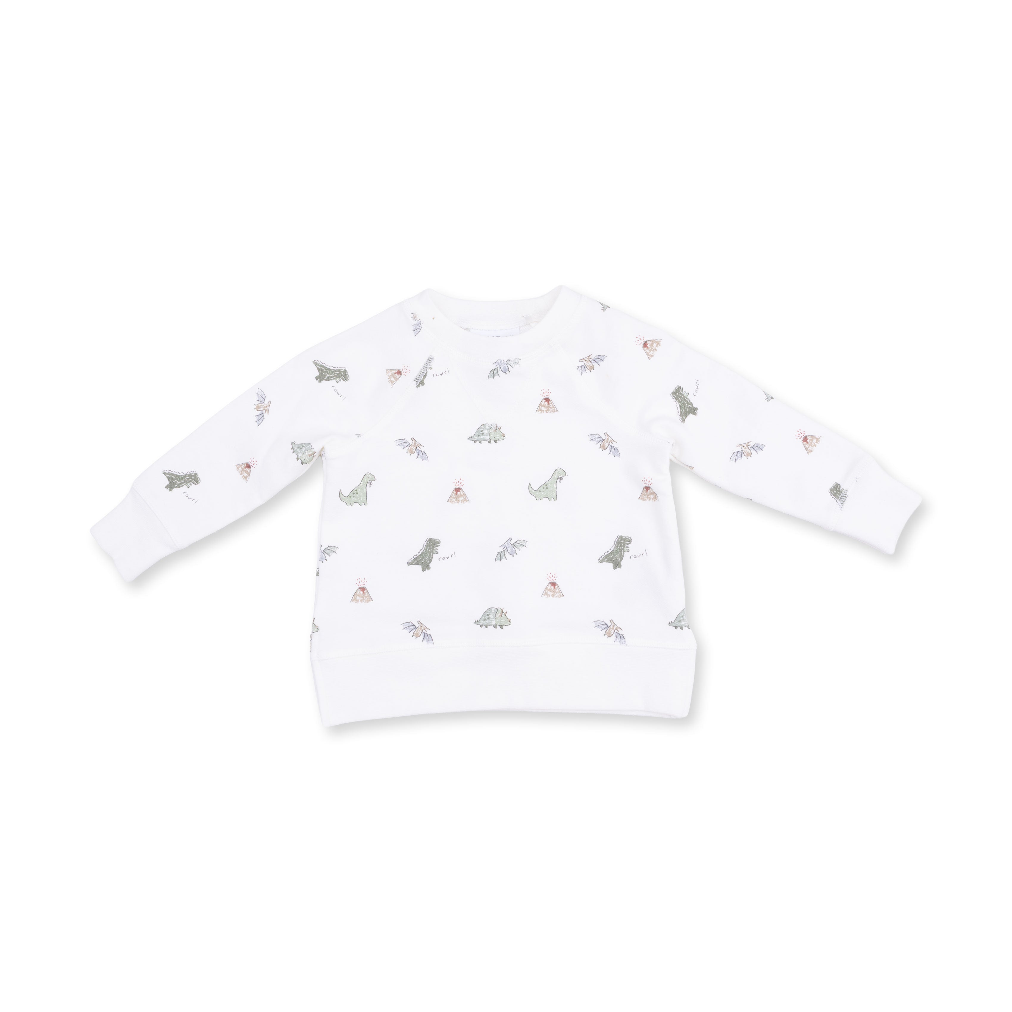 Raglan Sweatshirt | Dinos French Terry