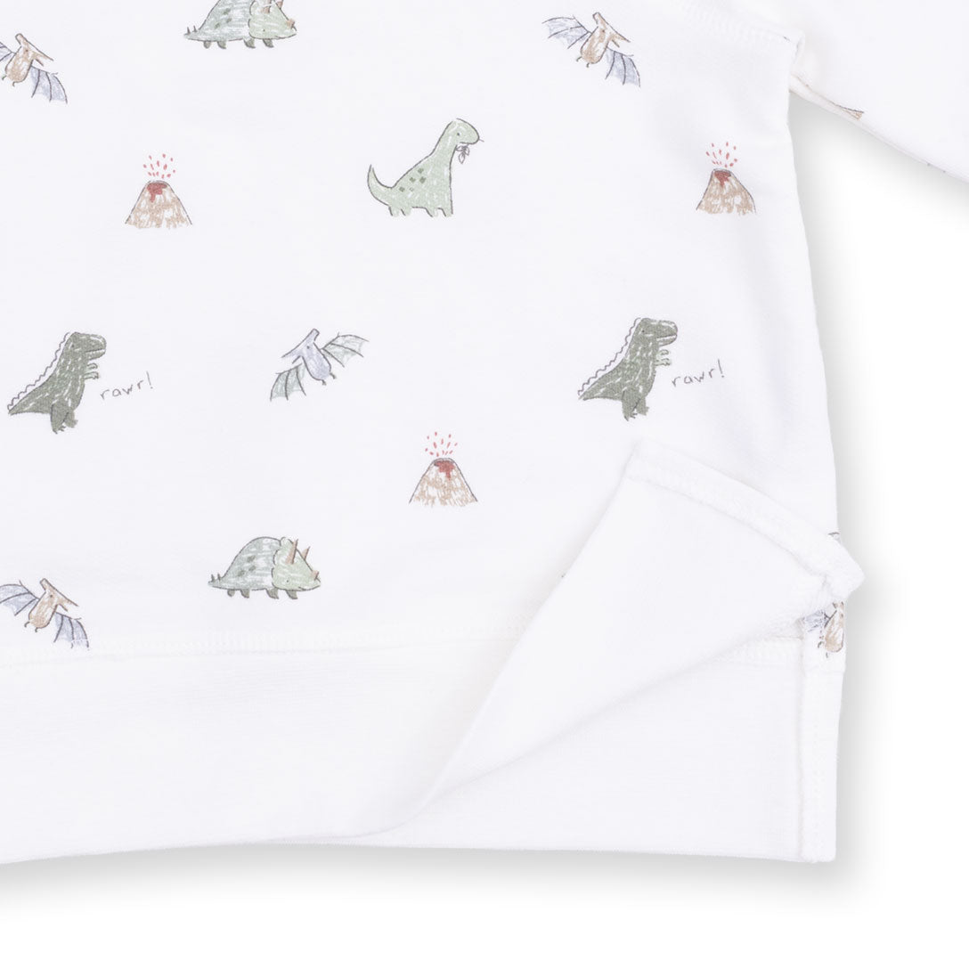 Raglan Sweatshirt | Dinos French Terry