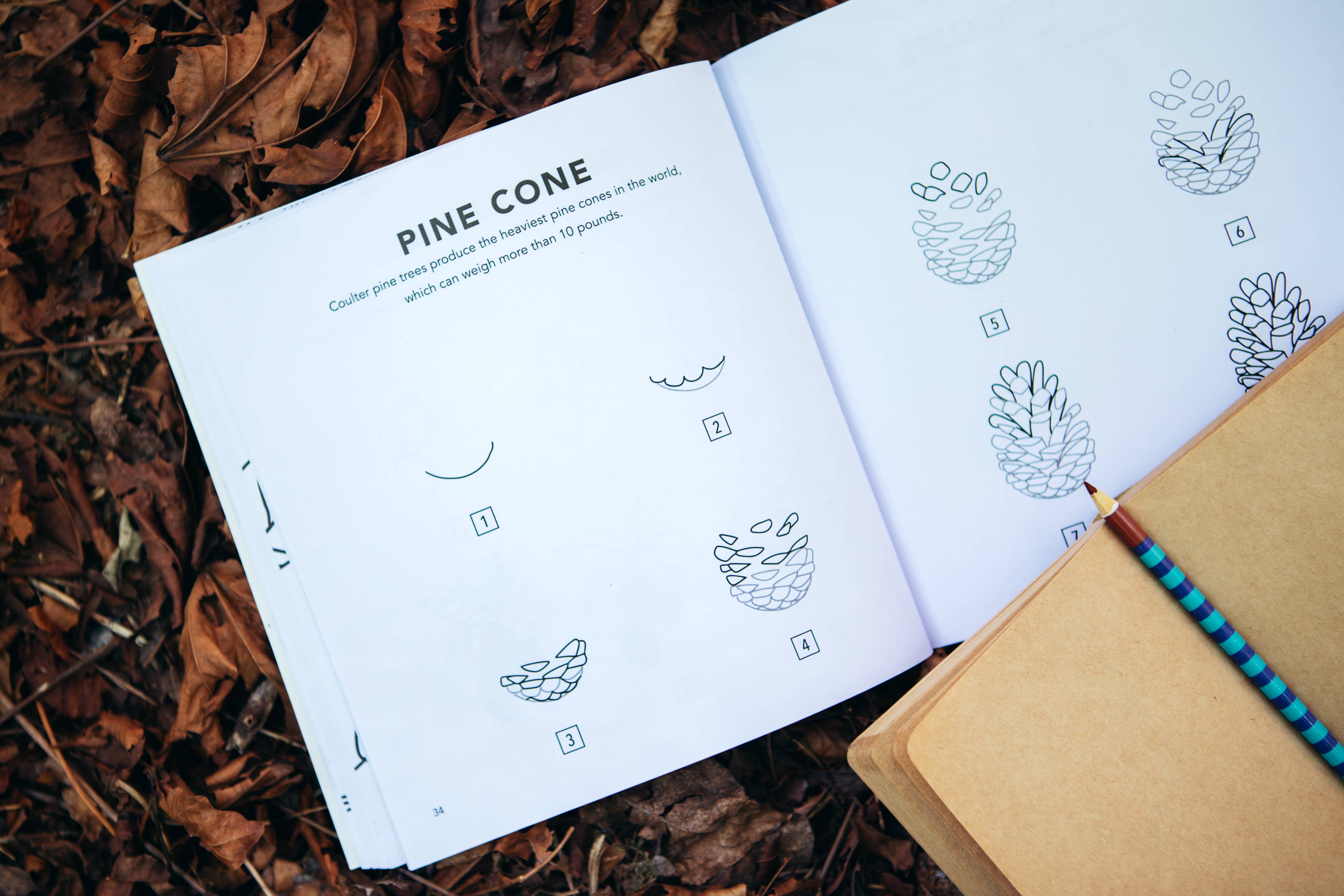 How to Draw Books for Kids with Pumpkins, Scarecrows, Turkeys and More