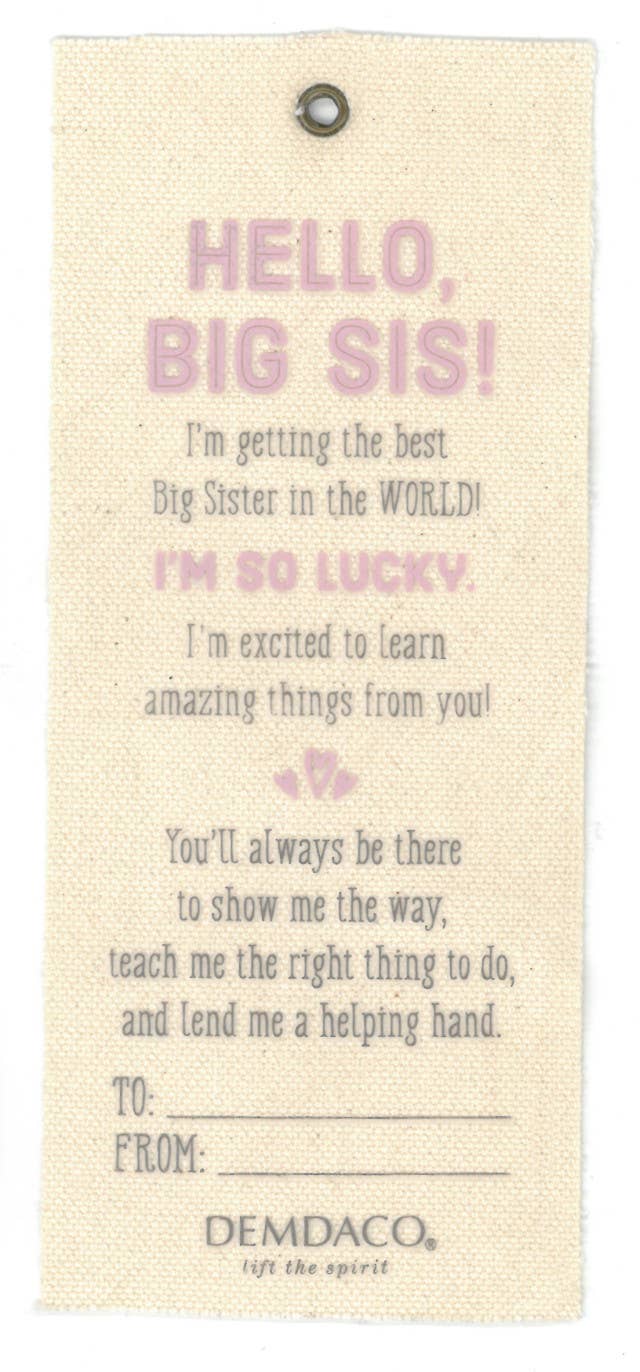 Gift from the New Kid: Big Sister