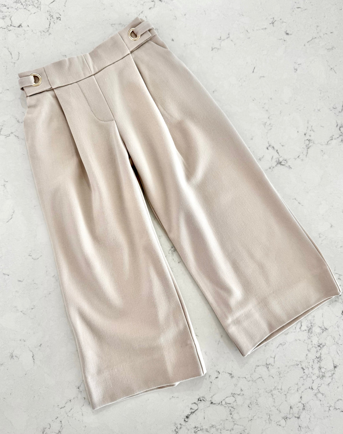 Pleated Pants