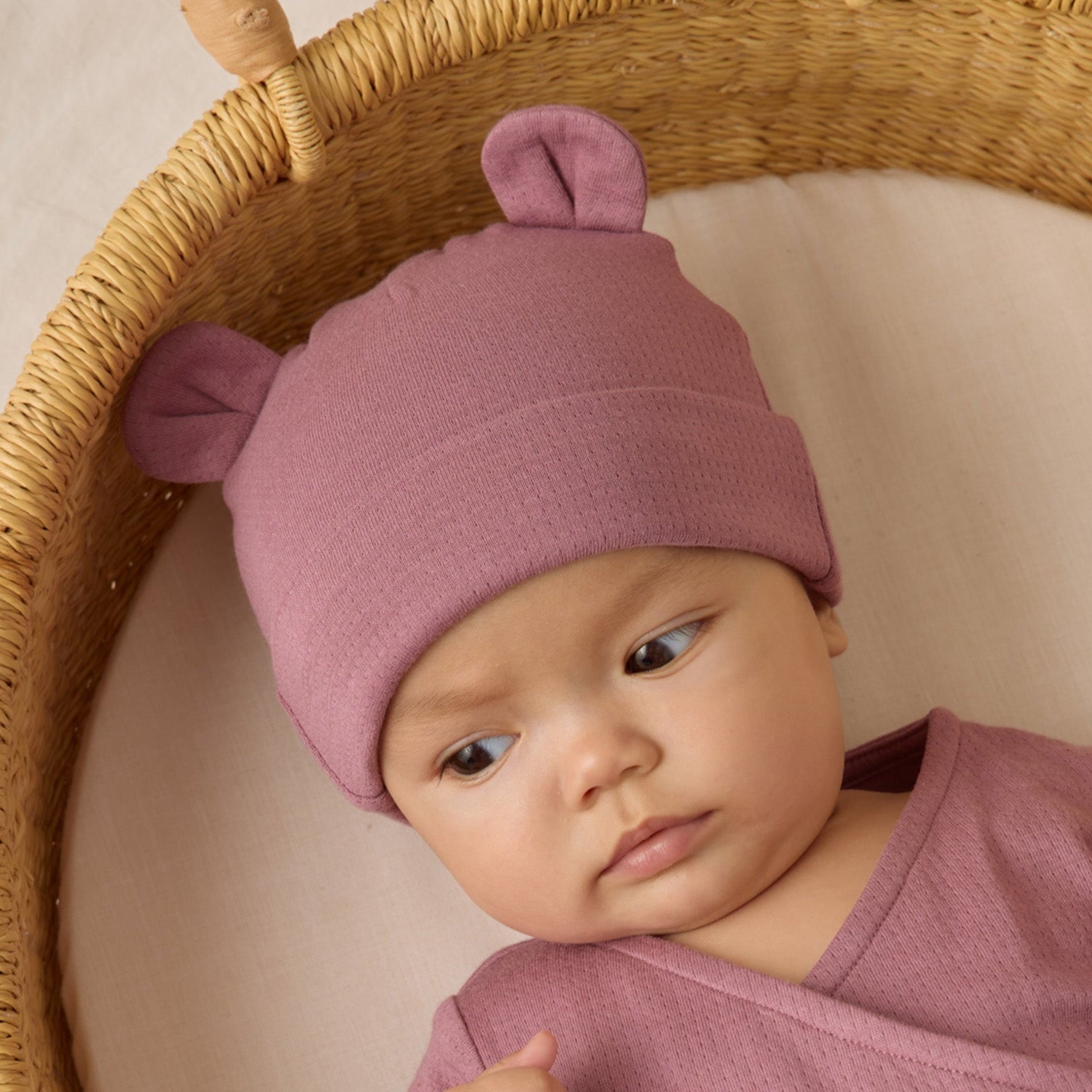 Baby Bear Beanie || Mulberry