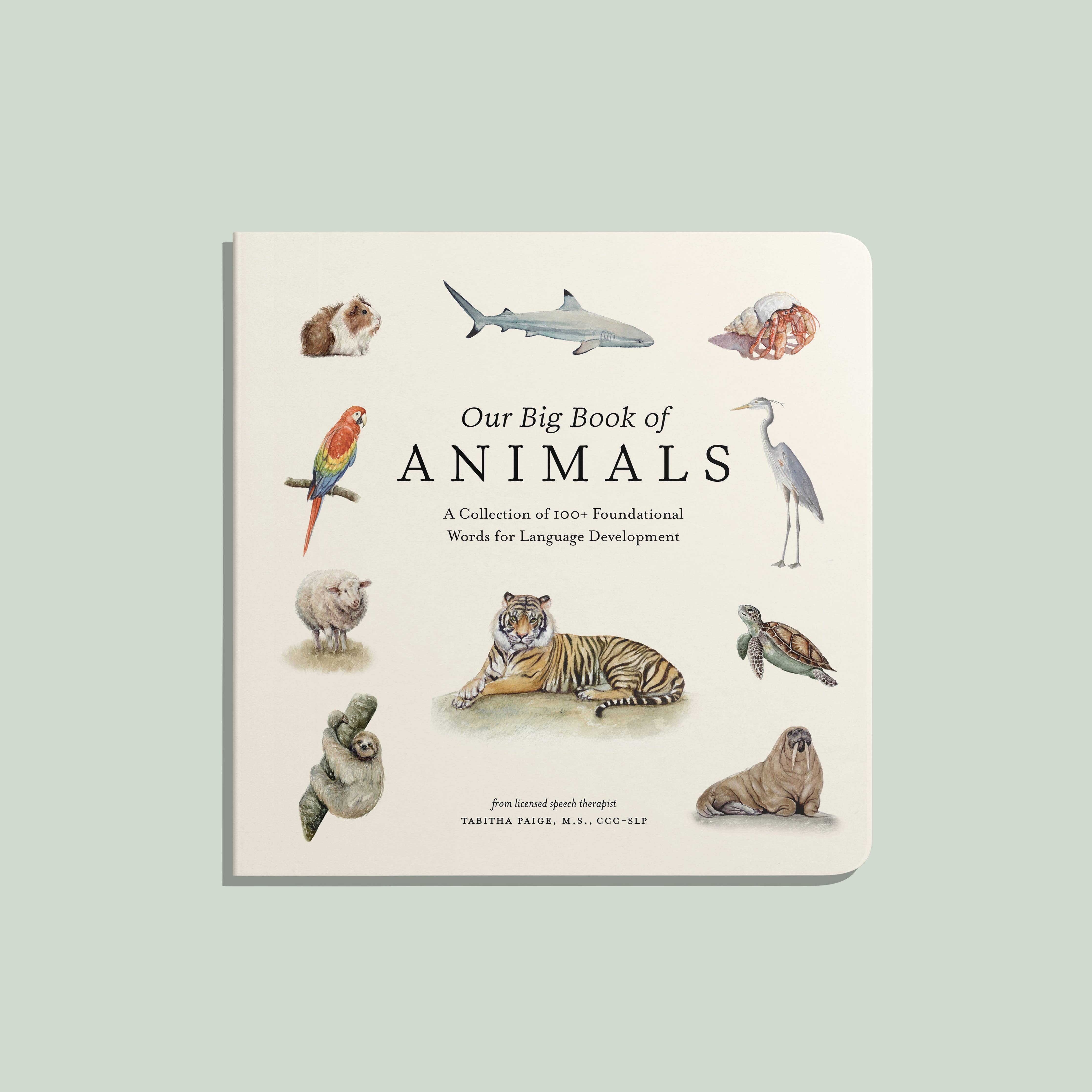 Our Big Book of Animals (Board Book)
