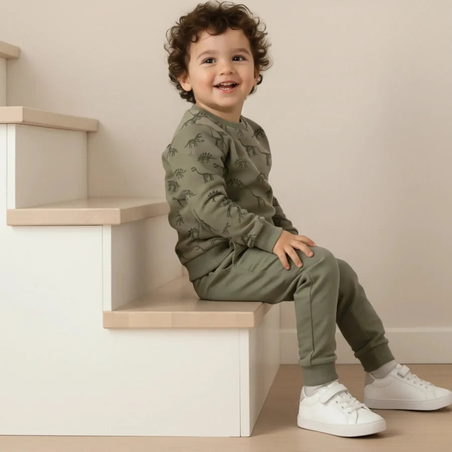 Organic Fleece Sweatshirt | Dinos