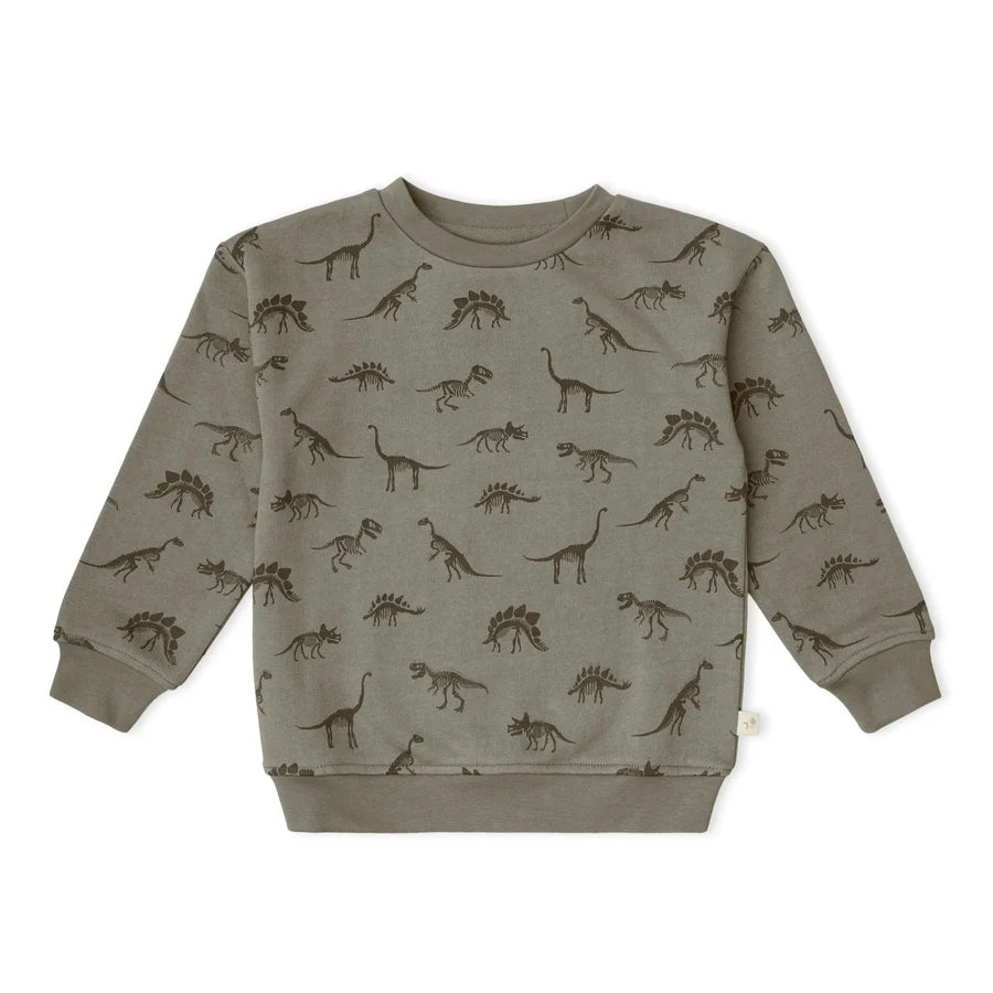 Organic Fleece Sweatshirt | Dinos